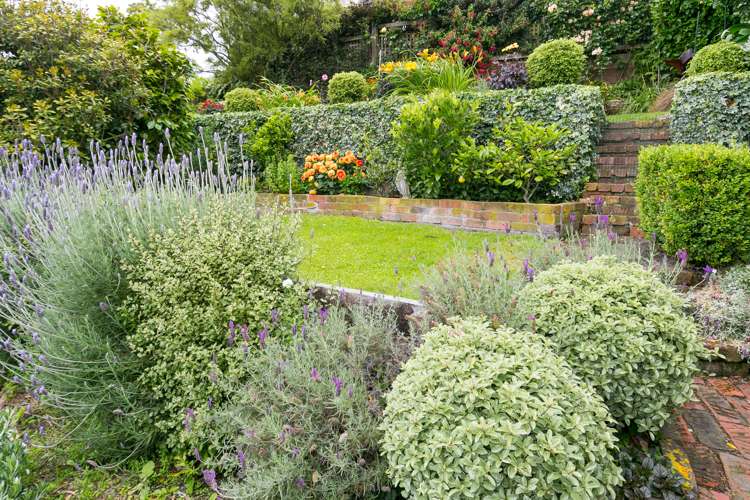 4 Durham Crescent Aro Valley_22