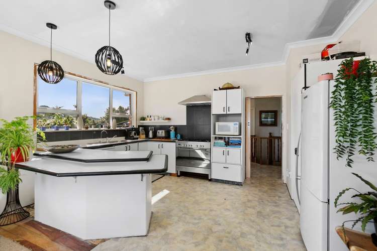 483 Upper Pitone Road Pitone_4