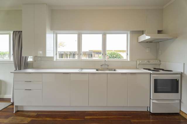 27 Galloway Street Hamilton East_2