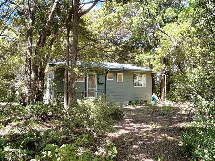 56 Totara Avenue Collingwood_19