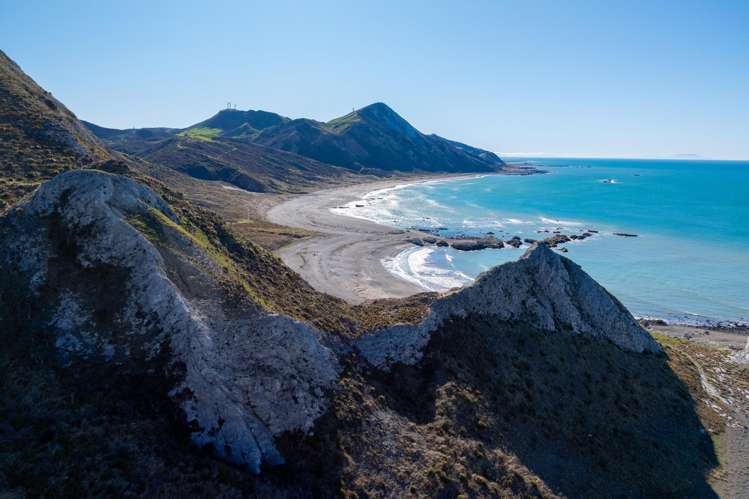 7611 State Highway 1 Ward_4