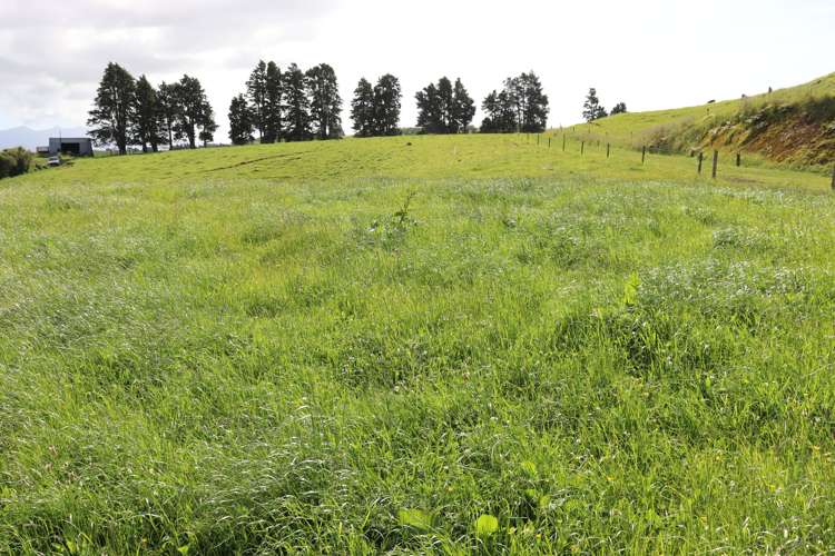 346 Lincoln Road Inglewood_16