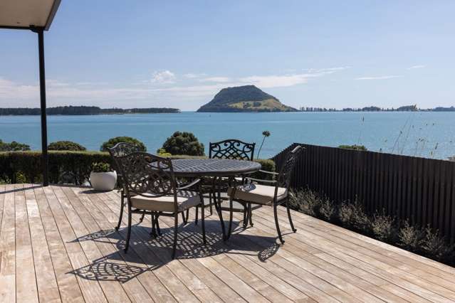 Dynamic In Every Way