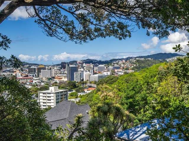 12 Orchard Street Wadestown_1