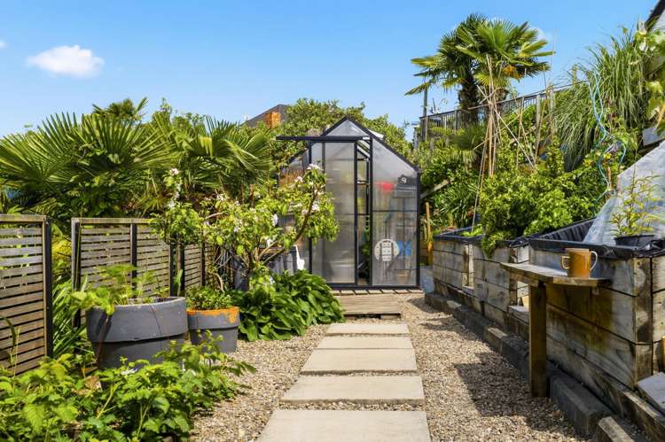 24 Anchorage Grove Maungatapu_11