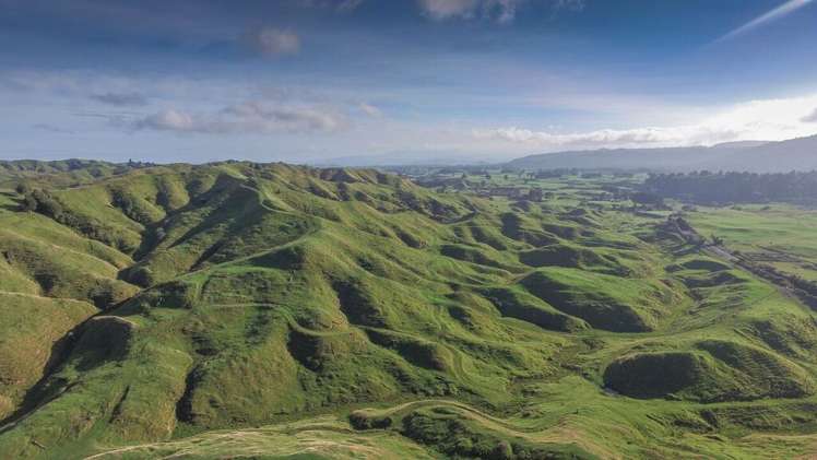 2491 State Highway 4 Owhango_9