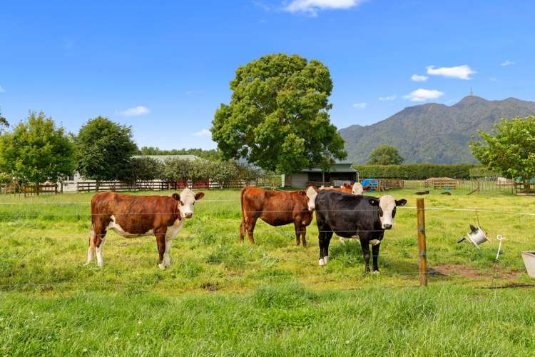 4472 State Highway 26 Te Aroha_21