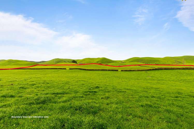 310 Matarawa Road Kinleith_16