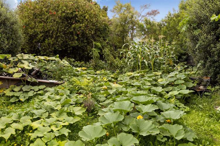 23 Henderson Street Riversdale_14