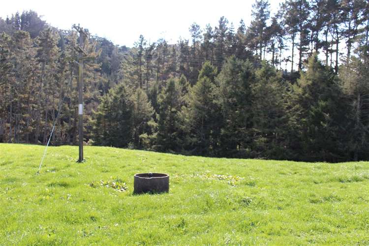 318 Waitawheta Road Waihi_15