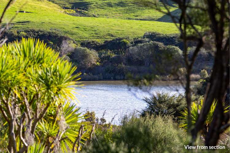 9 Waipatukahu Lane Raglan_6