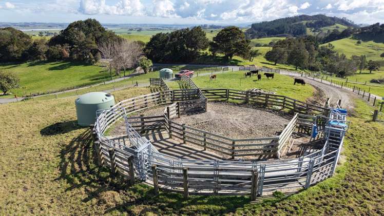 136 Whakahara Road Arapohue_19