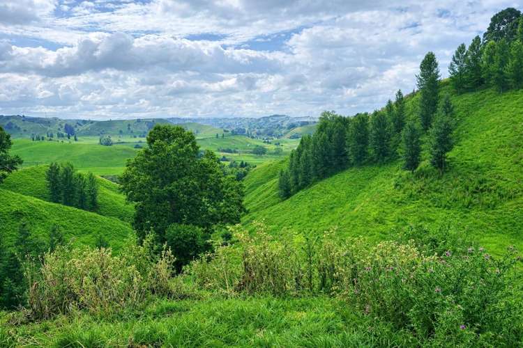 Hikumutu Road Taumarunui_4