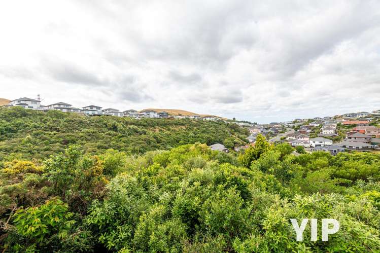 29 Bathgate Street Johnsonville_22