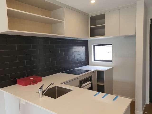 15 Ivy Nola Way Henderson_4