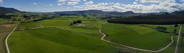 380 Matheson Road Catlins Surrounds_2