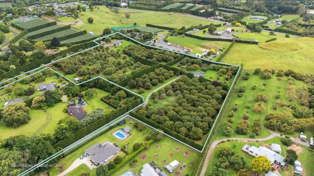 Three Income Streams with Land and Location