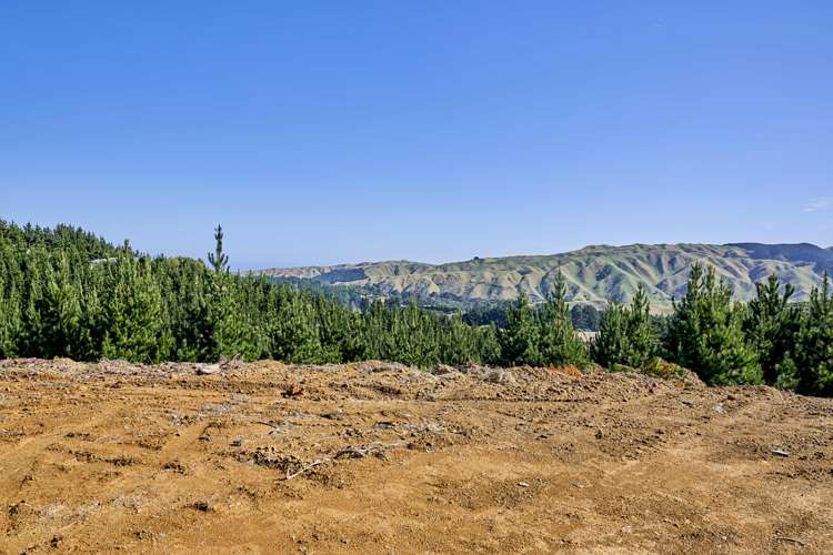 Fernhill Drive Judgeford_2