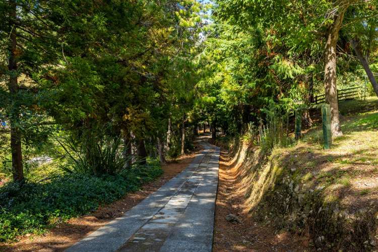 50 Lud Valley Road Hira_15