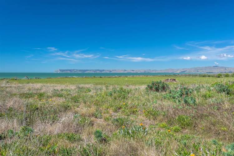 176 Rarangi Beach Road Rarangi_21