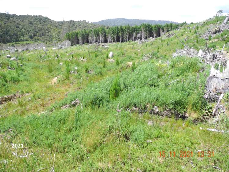 Marsden Road Marsden_10