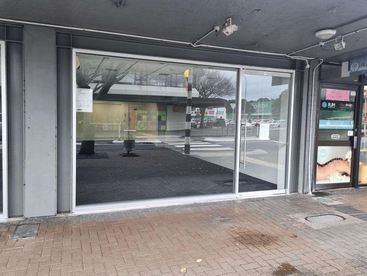 Unit A/17 Clyde Road_0