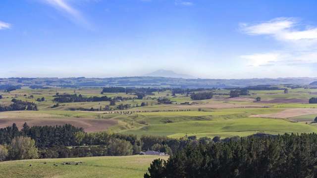 80 View Road Halcombe_2