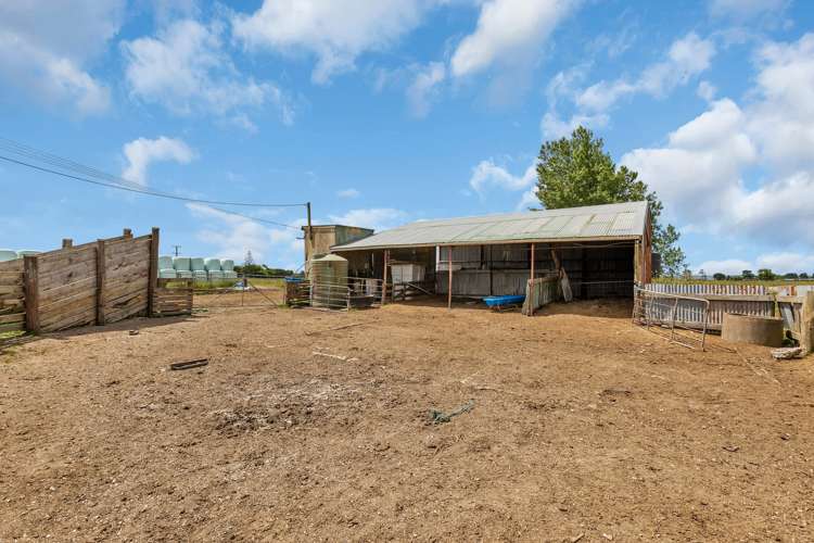 530 Tramline Road Ruawai_6
