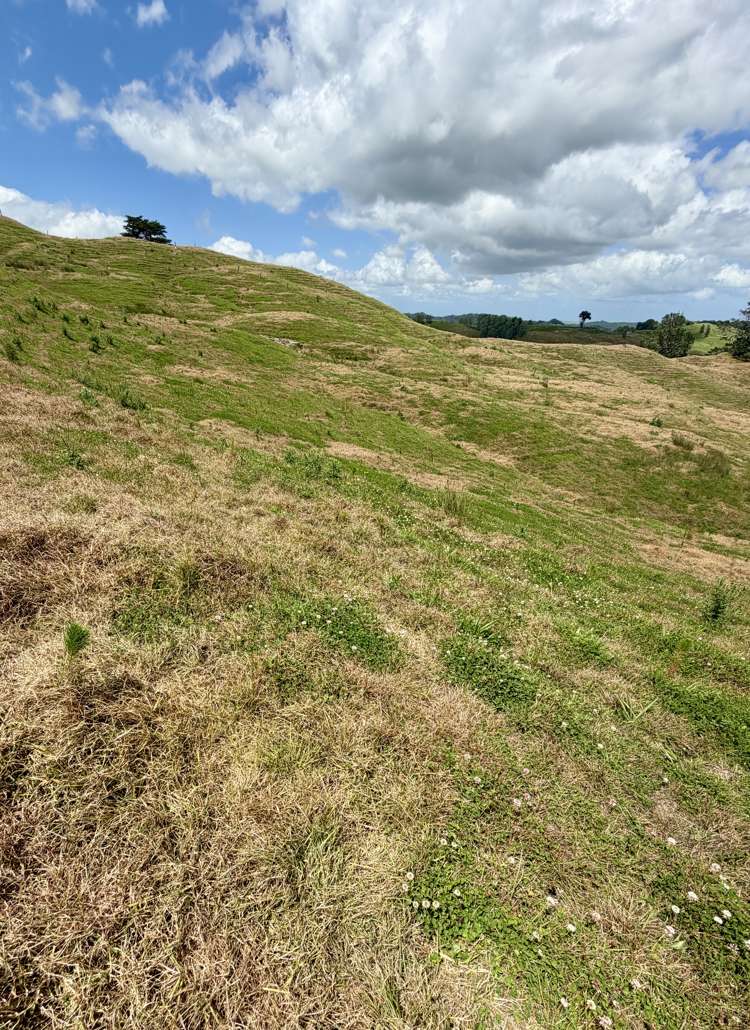 Pukehuia Road Arapohue_9