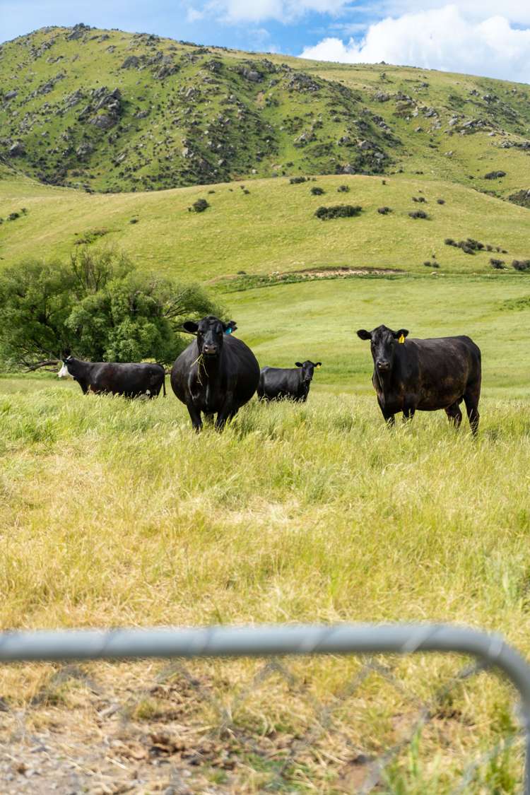 23 Klifden Road Oturehua_20