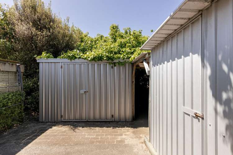 14B Taupo Avenue Mt Maunganui_15