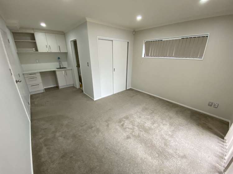 1 Deepak Lane Papatoetoe_12