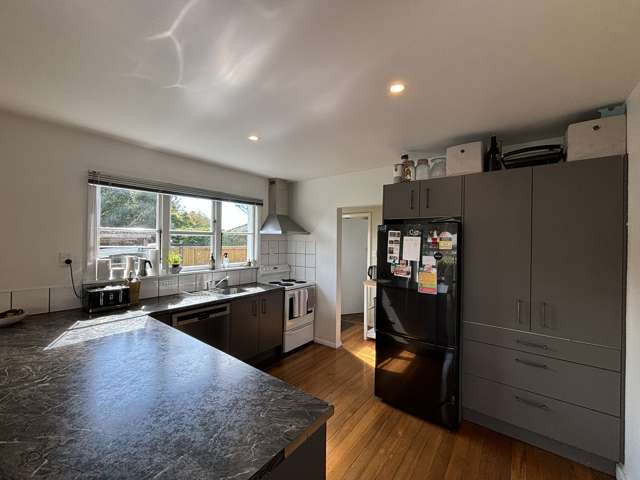 12 Manuka Street Mairehau_2