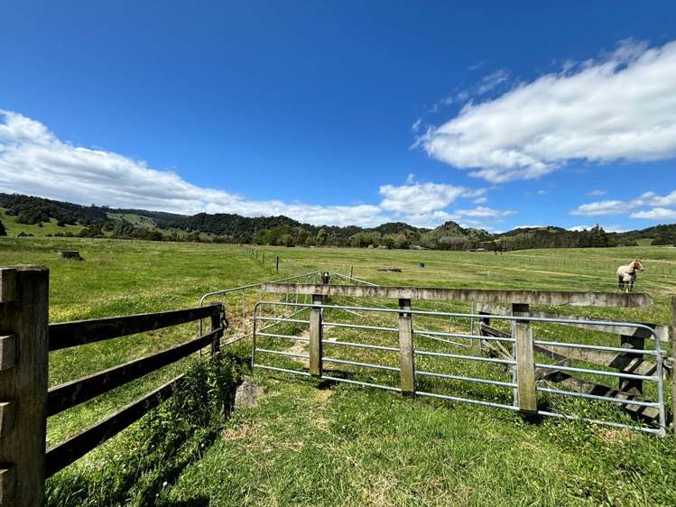 Lot 2, 74 Pukepoto Road Okaihau_17