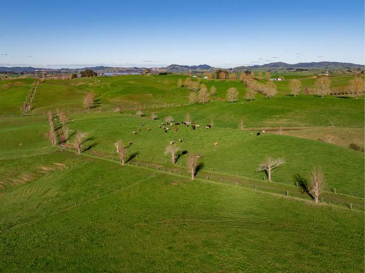 819 Waikokowai Road Ruawaro_15