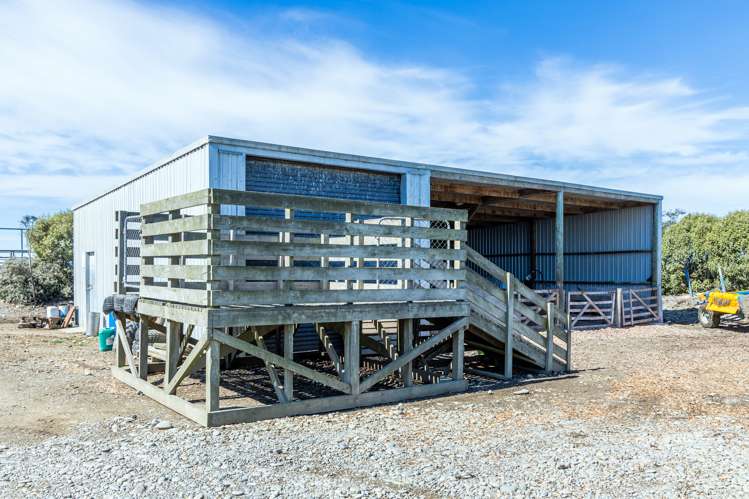 310 Morris Road Morven_10