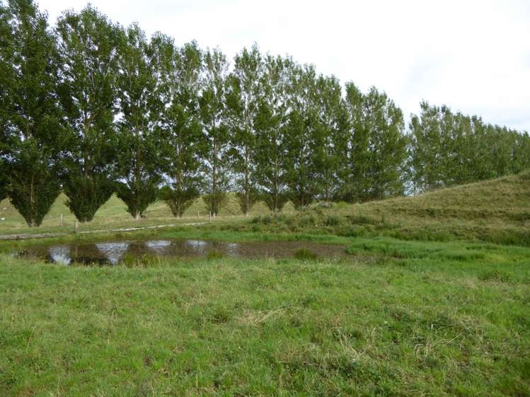 411 Waotu Road Putaruru_13