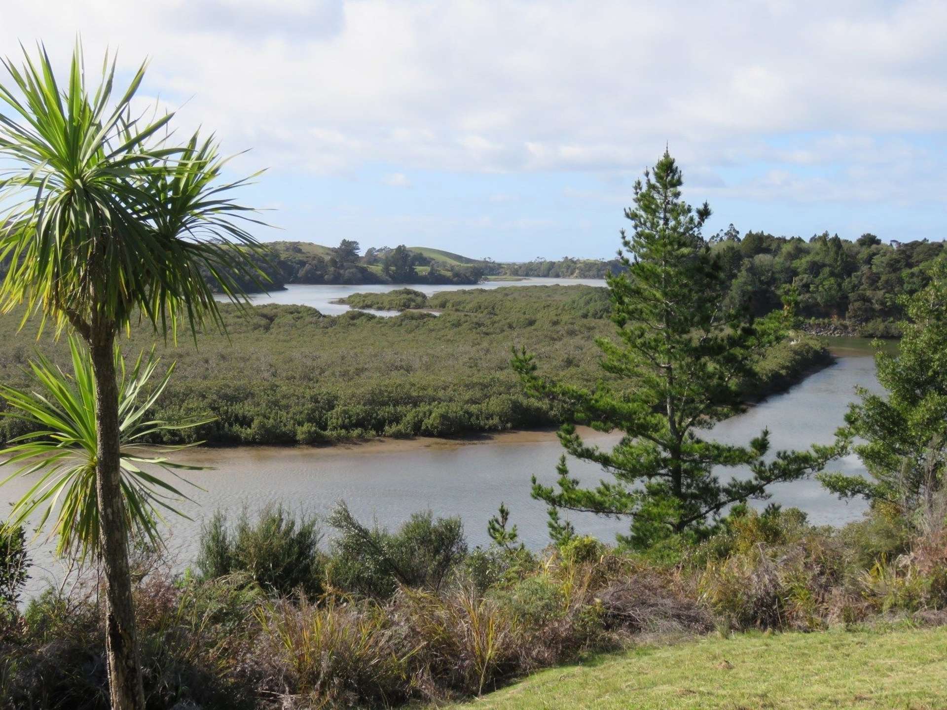 Pataua North Road Whareora_0