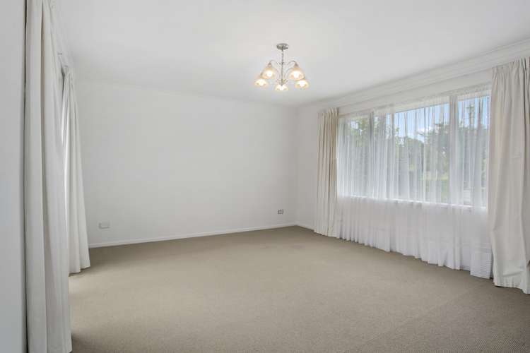 16 Mckenzie Place Matamata_4