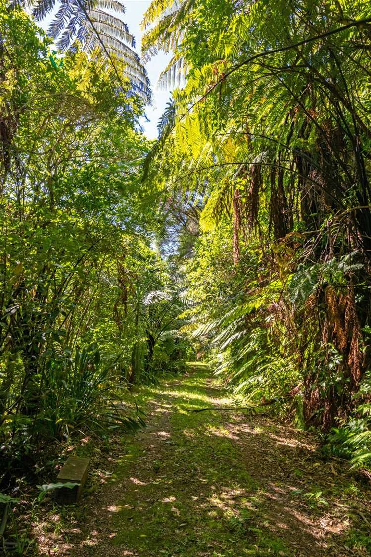 106 Moetapu Bay Road Anakiwa and Surrounds_12