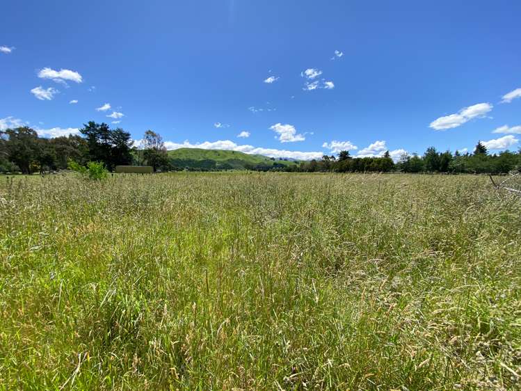 783 Chester Road Carterton_8