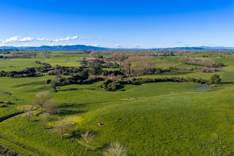 Waring Road, Taupiri Huntly_10