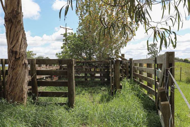 Glen Murray Road Rangiriri_29