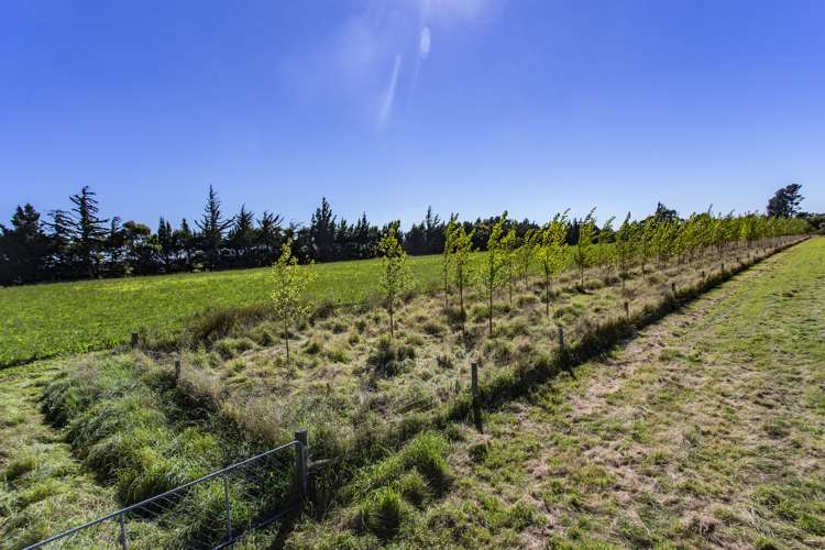 94 Maskells Road Balcairn_12