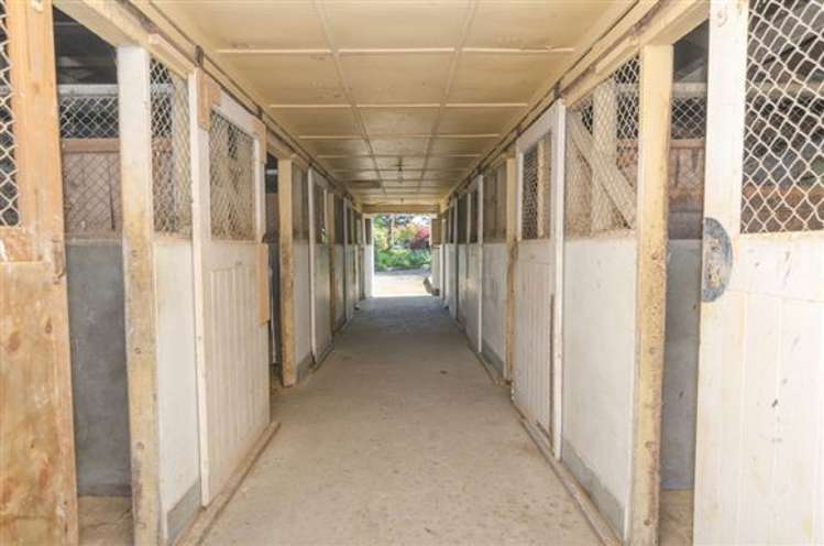 74 Kibblewhite Road Upper Plain_15