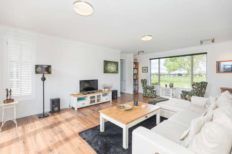 27c Shaw Road Matangi_12