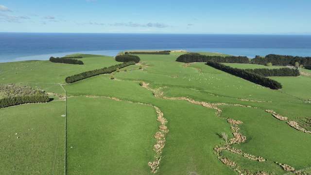 2057 Cape Palliser Road South Martinborough_3