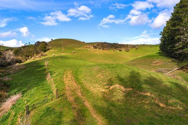 Ararimu Road Hunua_3