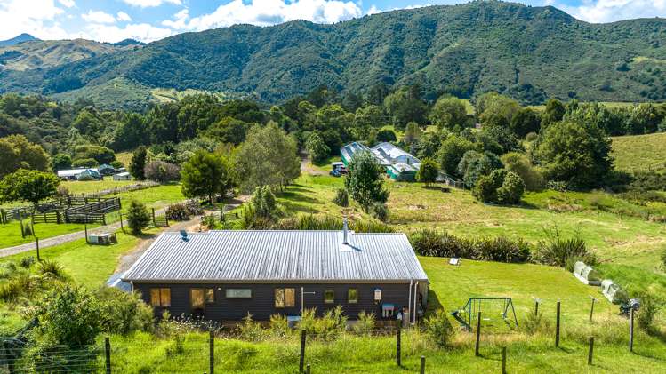 44 Packtrack Road Thames_22