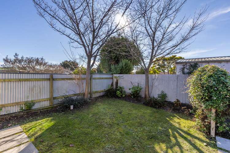 135A Gloucester Street Taradale_11